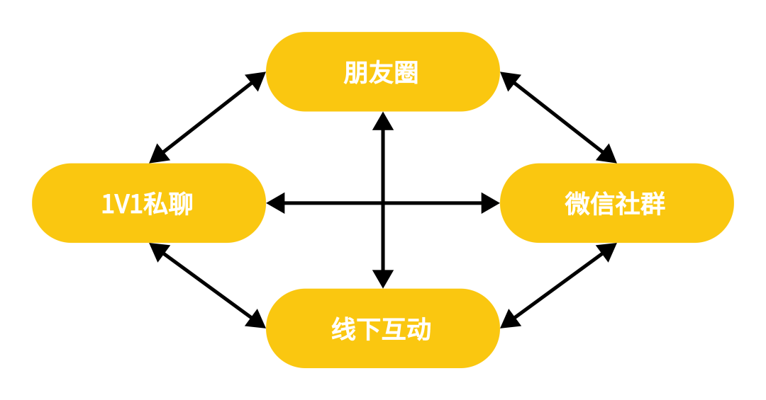 重识社群真面目——万字深度复盘，护肤私域社群的尝试与创造